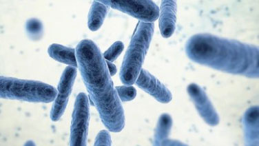 Microbial Research