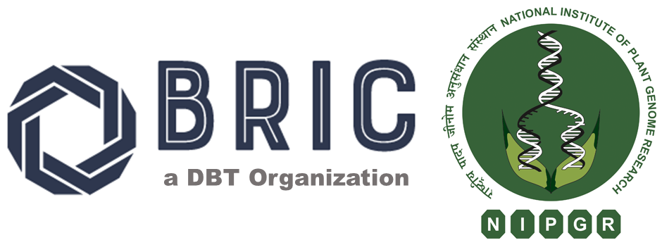 BRIC