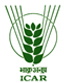 IIMR